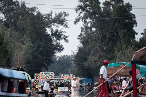 Mexico City: Xochimilco, Coyoacan, UNAM & Aztec Stadium Tour