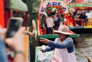 Mexico: Coyoacan & Xochimilco:VW bus, Boat & Brunch - Family