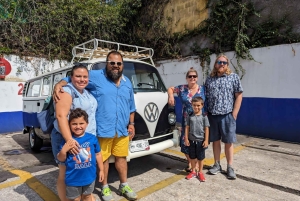 México: Coyoacán y Xochimilco: Autobús VW, Barco y Brunch - Familia