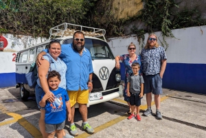 Mexico: Coyoacan & Xochimilco:VW bus, Boat & Brunch - Family