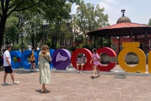 Mexico: Coyoacan & Xochimilco:VW bus, Boat & Brunch - Family