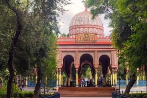 🟢Mexico Off The Beaten Track/ Street Food Bike Tour 🟢