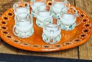 🟢Mexico Off The Beaten Track/ Street Food Bike Tour 🟢