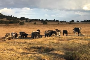 Tour Haciendas de Tlaxcala