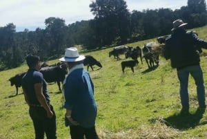 Tour Haciendas de Tlaxcala