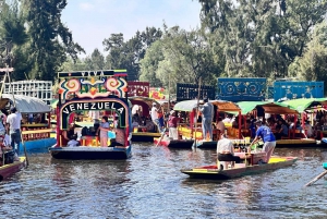 México: Excursión a Xochimilco y Coyoacán desde CDMX