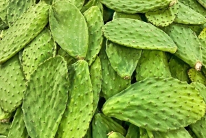 Mexico's Tropical Fruit Guided Tasting in Mexico City