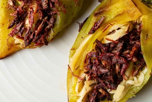 Mezcal Ciudad de México: Sorbos culturales, aperitivos y mariachi