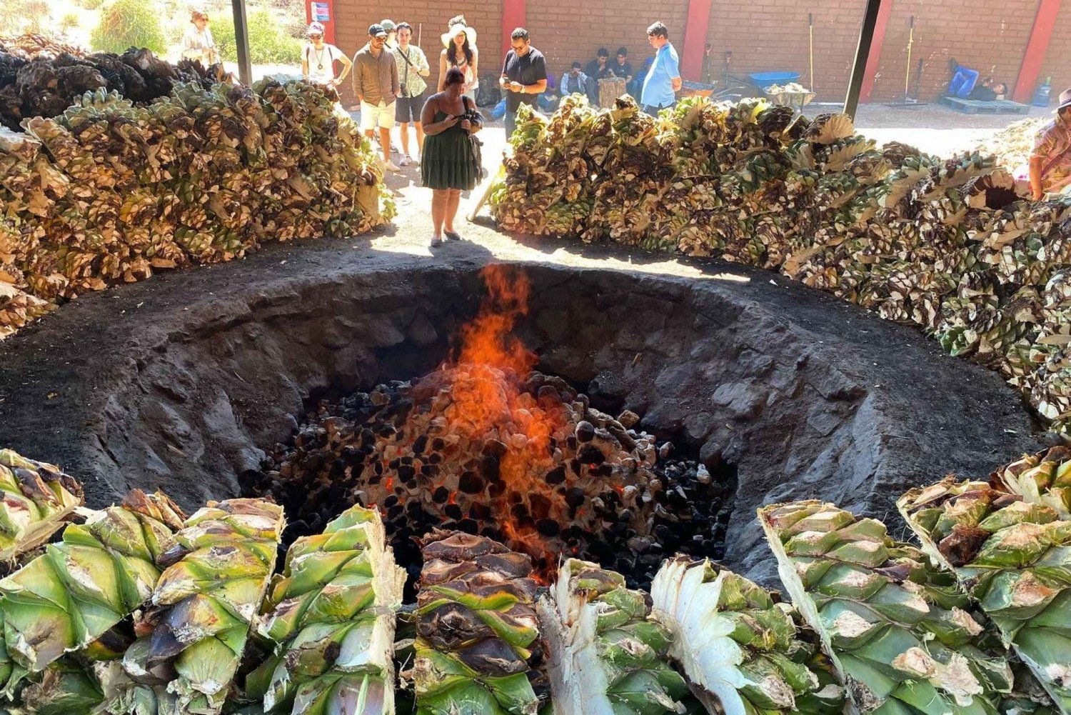 Mezcal Tour Oaxaca