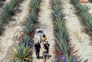 Mezcal Tour Oaxaca