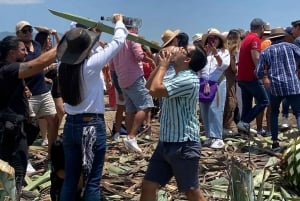 Mezcal Tour Oaxaca