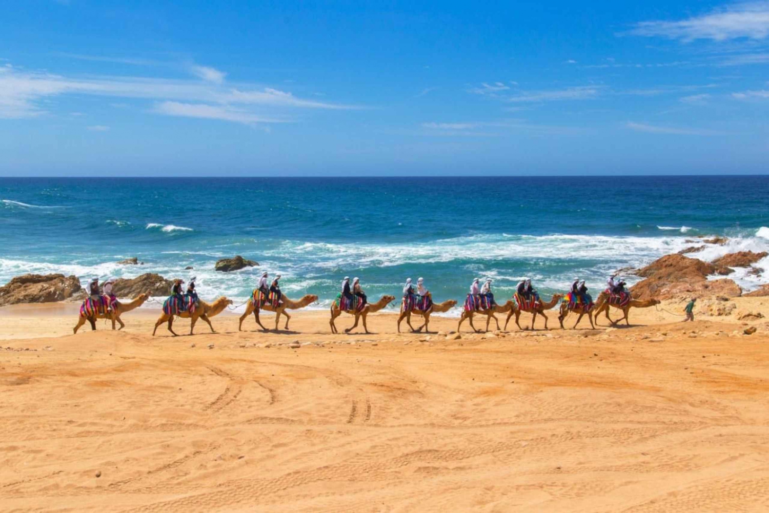 Migriño: Beach and Desert Camel Tour with Tacos and Tequila
