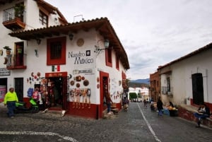 Excursión Mil Cascadas Taxco: Cascadas Asombrosas y Rappel Loco