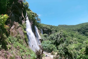 Excursión Mil Cascadas Taxco: Cascadas Asombrosas y Rappel Loco