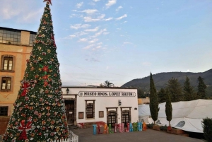 Mariposa Monarca: Reserva de la Biosfera y Ciudad de Navidad