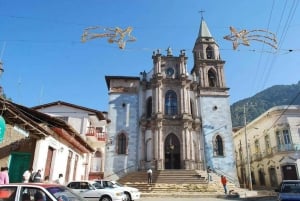 Ciudad de México: Mariposas Monarca, Sierra Chincua y Angangueo