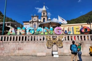 Ciudad de México: Mariposas Monarca, Sierra Chincua y Angangueo