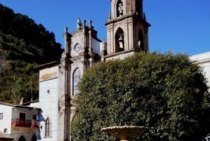 Ciudad de México: Mariposas Monarca, Sierra Chincua y Angangueo