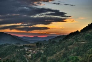 Ciudad de México: Mariposas Monarca, Sierra Chincua y Angangueo