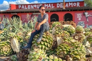 Oaxaca: Monte Albán, Hierve el agua, Mezcal y Teotitlán