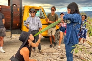 Oaxaca: Monte Albán, Hierve el agua, Mezcal y Teotitlán