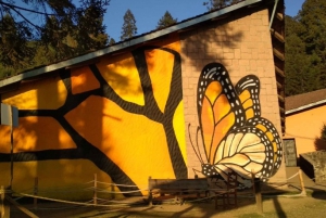 Morelia: Tour de la Mariposa Monarca