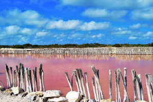 Excursión de un día a Motul, Hacienda, Xcambo, Mina de Sal Rosa y Progreso