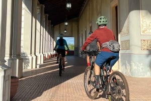 Ciclismo de montaña en Selva Maya / Visita Cenotes / Hacienda