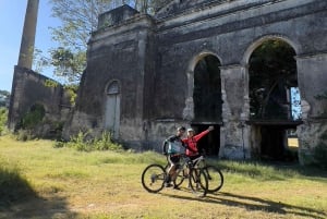 Ciclismo de montaña en Selva Maya / Visita Cenotes / Hacienda