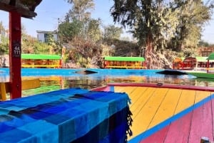 Music and Tequila in Xochimilco visits Coyoacán and CU