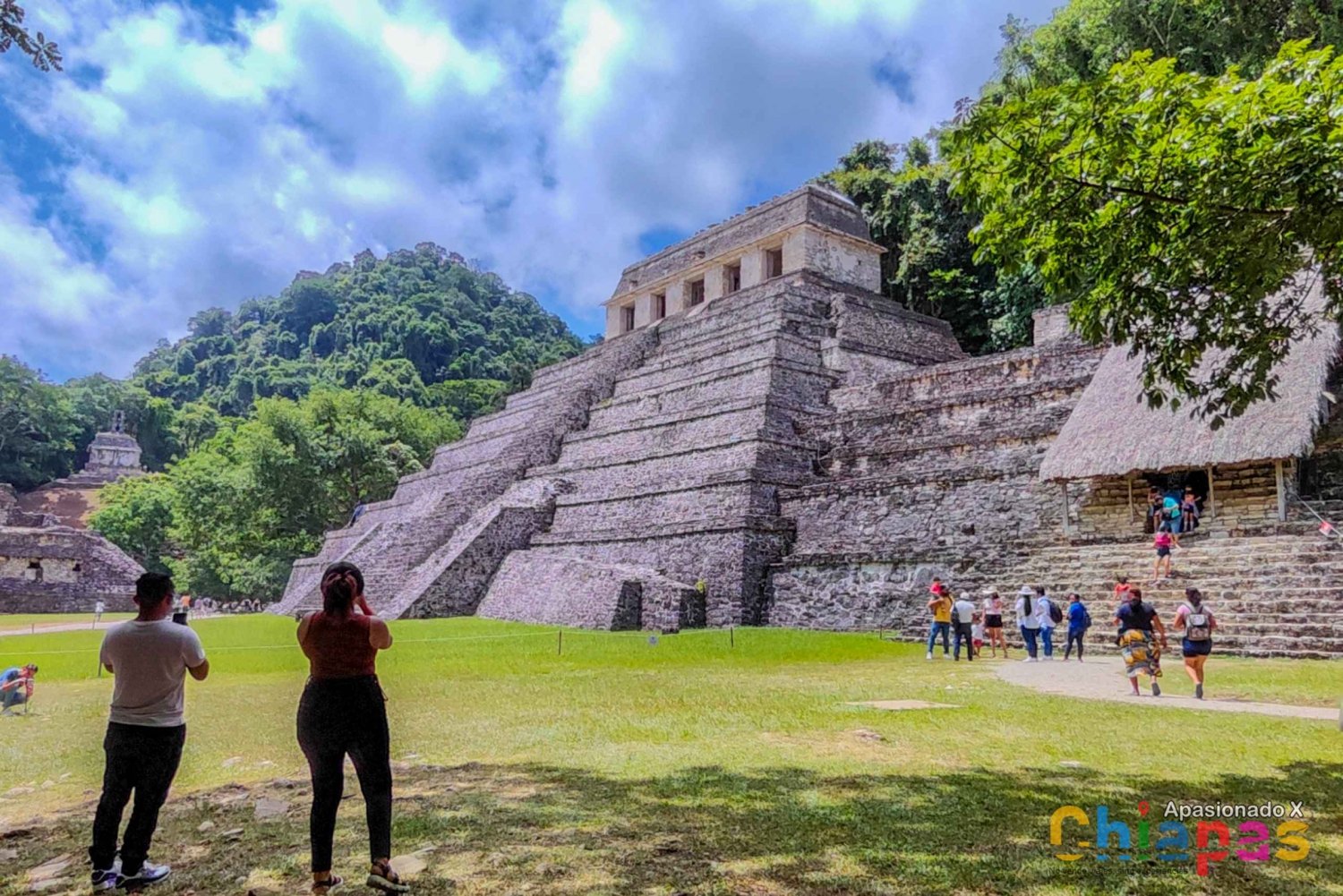 Tuxtla Gutiérrez: Agua Azul, Misol Ha y Experiencia Palenque