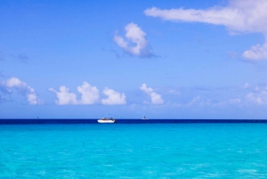 Excursión de un día a la Isla Saona + Almuerzo + Barra Libre desde Punta Cana