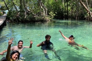 Mérida: Manglares de Celestún, Flamencos Rosas y Tour en barco por la playa