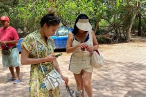 Mérida: Manglares de Celestún, Flamencos Rosas y Tour en barco por la playa