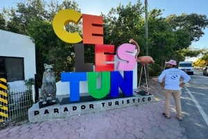 Mérida: Manglares de Celestún, Flamencos Rosas y Tour en barco por la playa