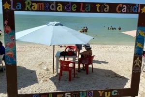 Mérida: Manglares de Celestún, Flamencos Rosas y Tour en barco por la playa