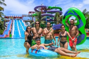 Puerto Vallarta: Dolphin Swimming and Aquaventuras Park