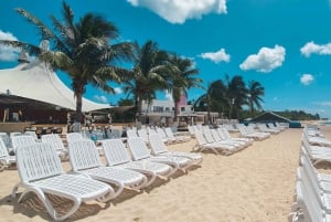 Cozumel: Playa Mia Beach Club Pase de un Día con Transporte