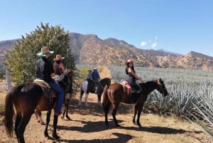 Guadalajara: Cabalgata por la Ruta del Tequila con Degustaciones