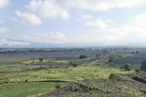 Guadalajara: Cabalgata por la Ruta del Tequila con Degustaciones