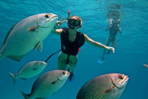 Cozumel: Chankanab Park Day Pass and Snorkeling tour