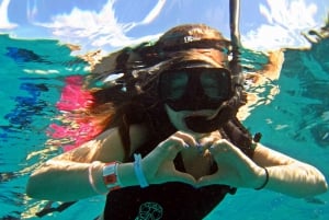 Cozumel: Pase de un día al Parque Chankanab y excursión de snorkel