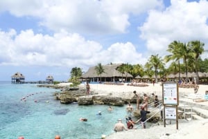 Cozumel: Chankanab Park Day Pass and Snorkeling tour