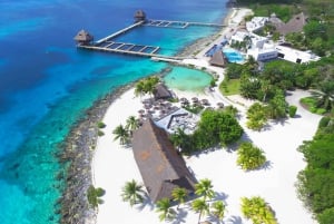 Cozumel: Pase de un día al Parque Chankanab y excursión de snorkel