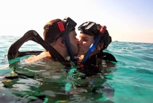 Cozumel: Chankanab Park Day Pass and Snorkeling tour