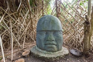 Cozumel: Pase de un día al Parque Chankanab y excursión de snorkel