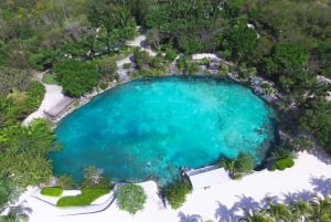 Cozumel: Chankanab Park Day Pass and Snorkeling tour