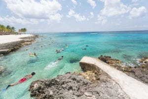 Cozumel: Chankanab Park Day Pass and Snorkeling tour