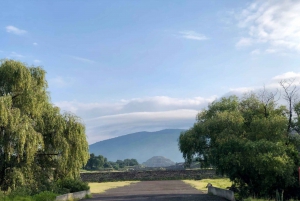 From Mexico City: Teotihuacan Tour & Reino Animal For Kids