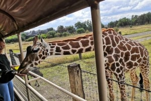 From Mexico City: Teotihuacan Tour & Reino Animal For Kids